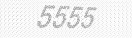 Visual security code — type the characters shown in the image