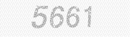 Visual security code — type the characters shown in the image