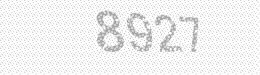 Visual security code — type the characters shown in the image
